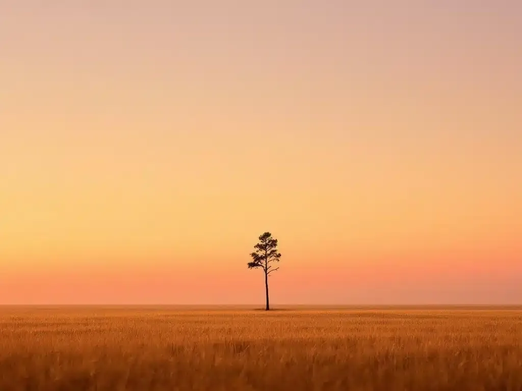 Arbre et feuille qui tombe